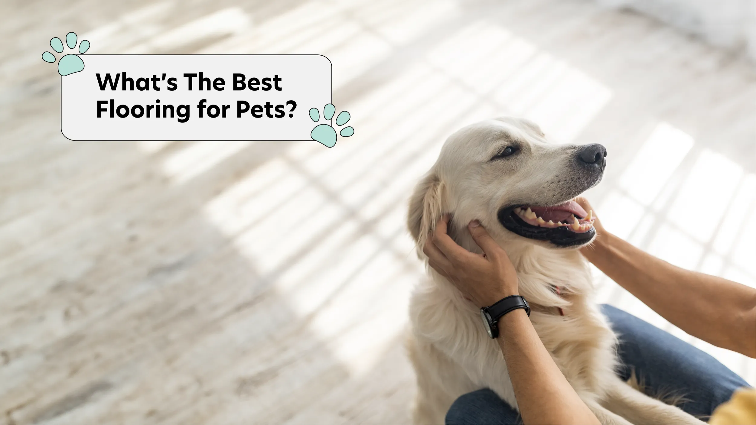 What Makes Flooring Pet-Friendly?