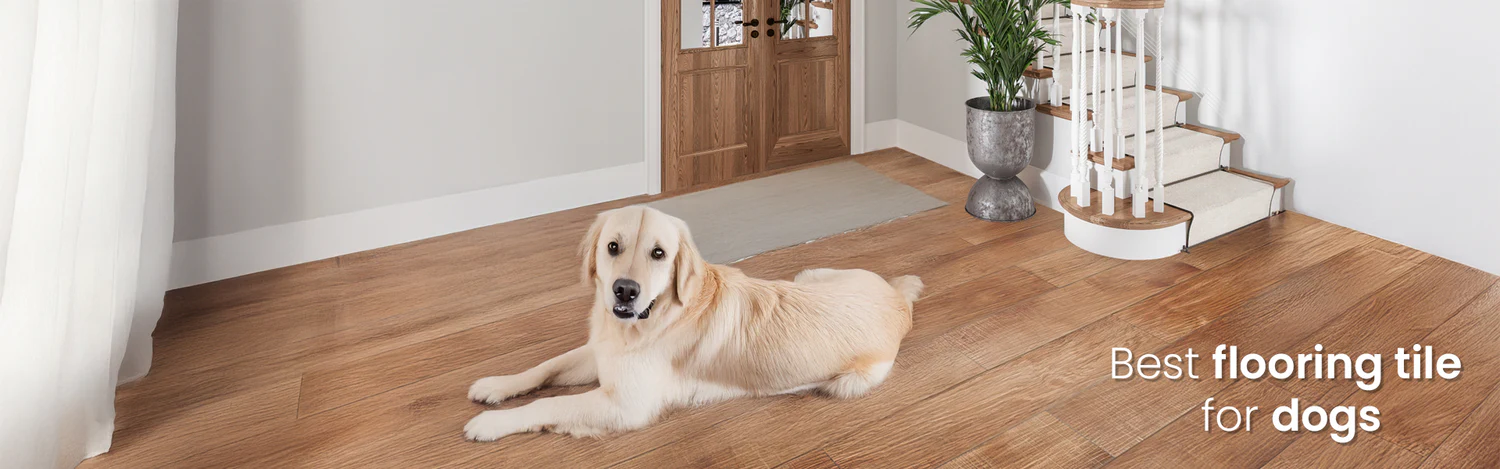 Top 5 Best Flooring Options for Pets