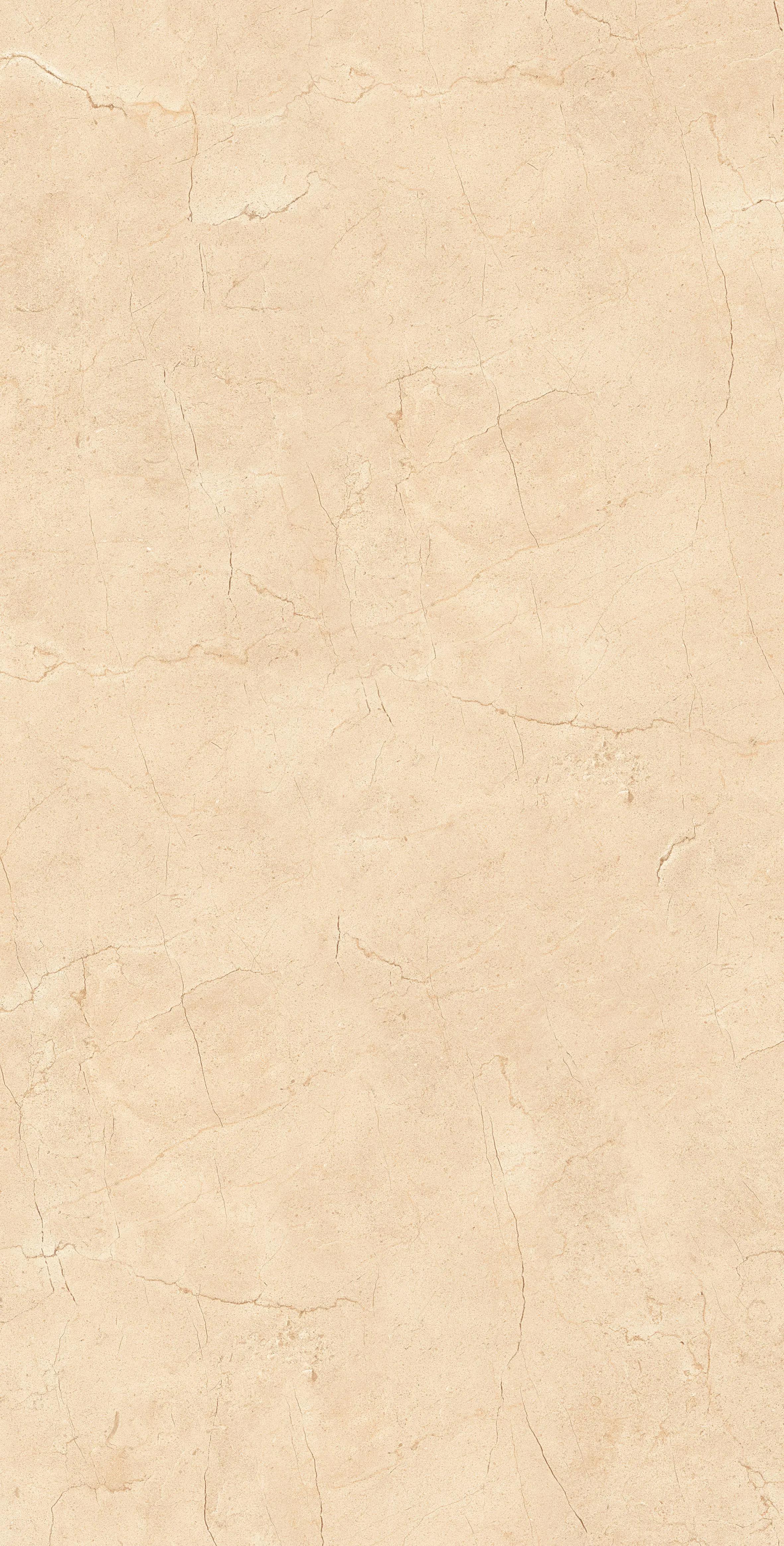 ABELIA BEIGE