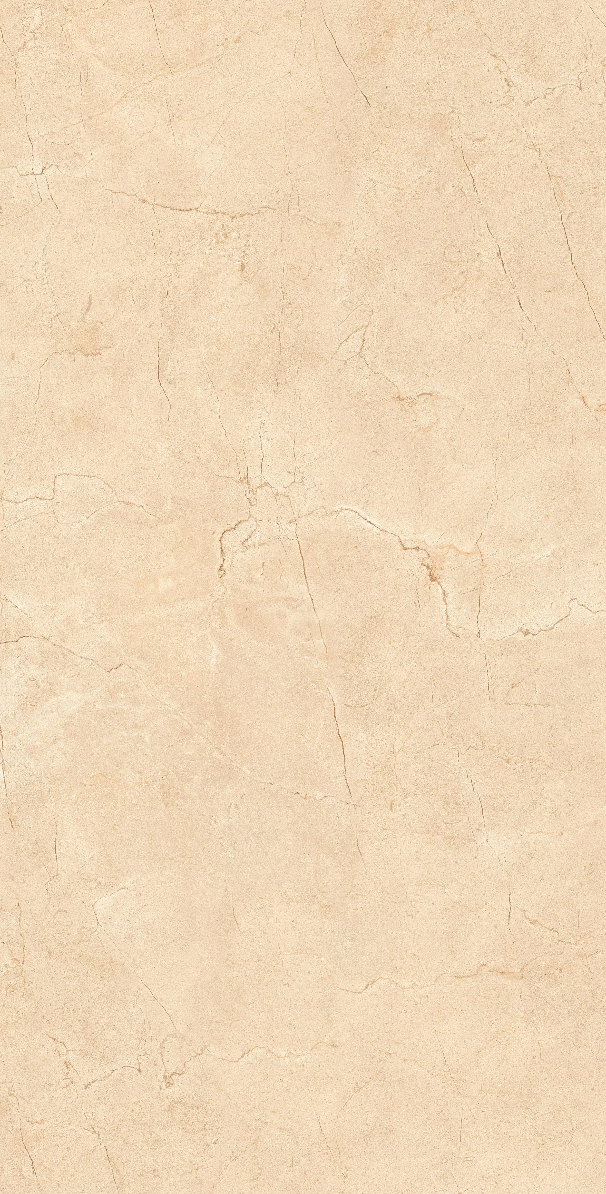 ABELIA BEIGE-3