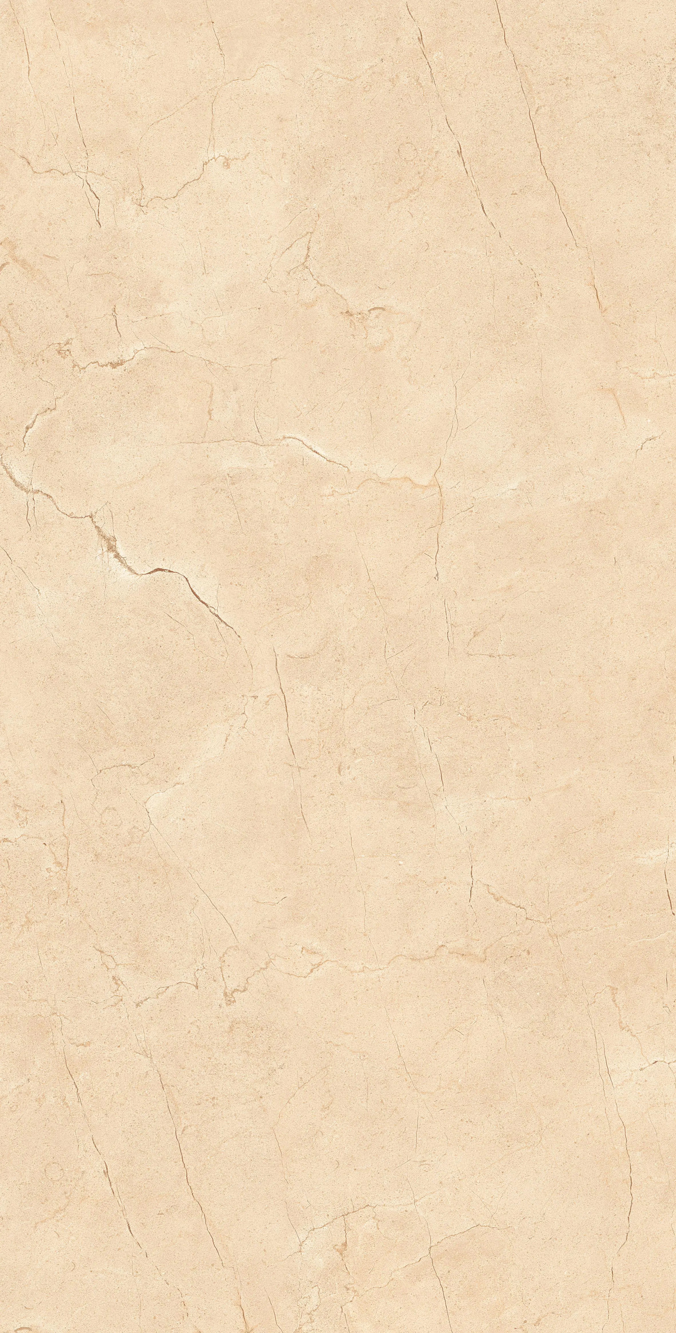 ABELIA BEIGE-2