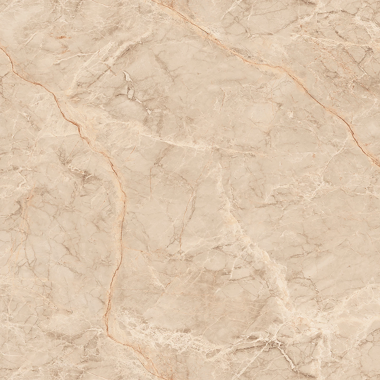 SILVER ROOT BEIGE_F3