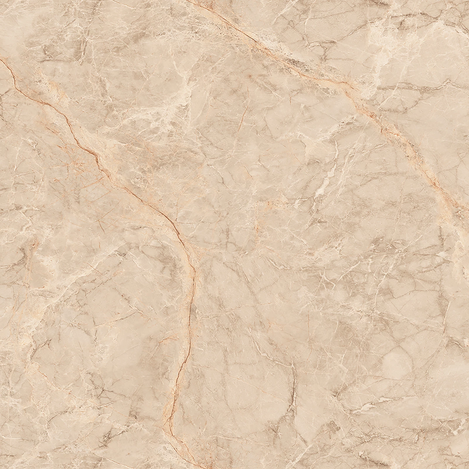 SILVER ROOT BEIGE_F4