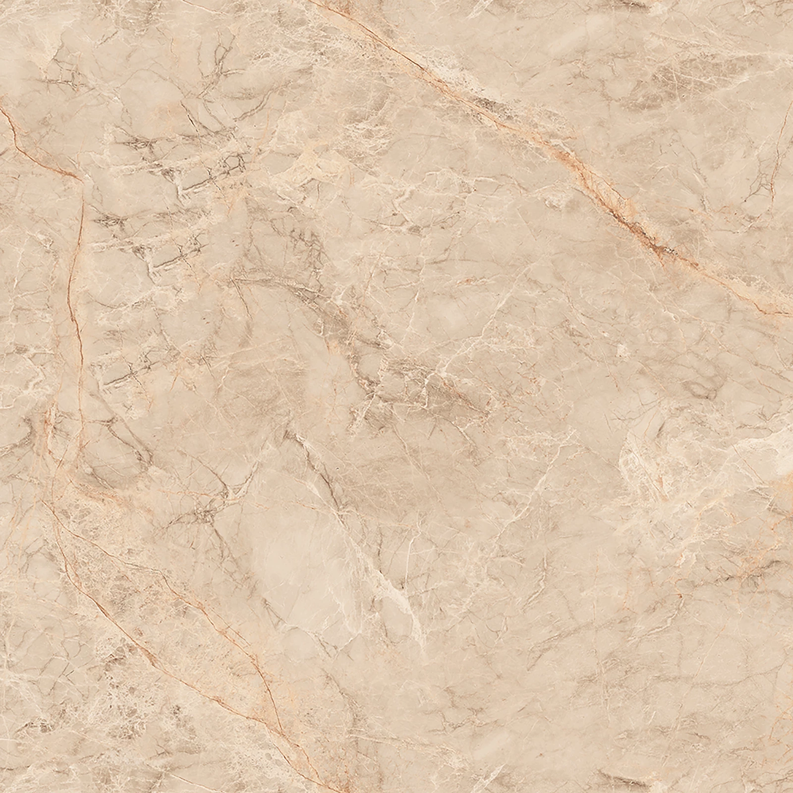 SILVER ROOT BEIGE_F2