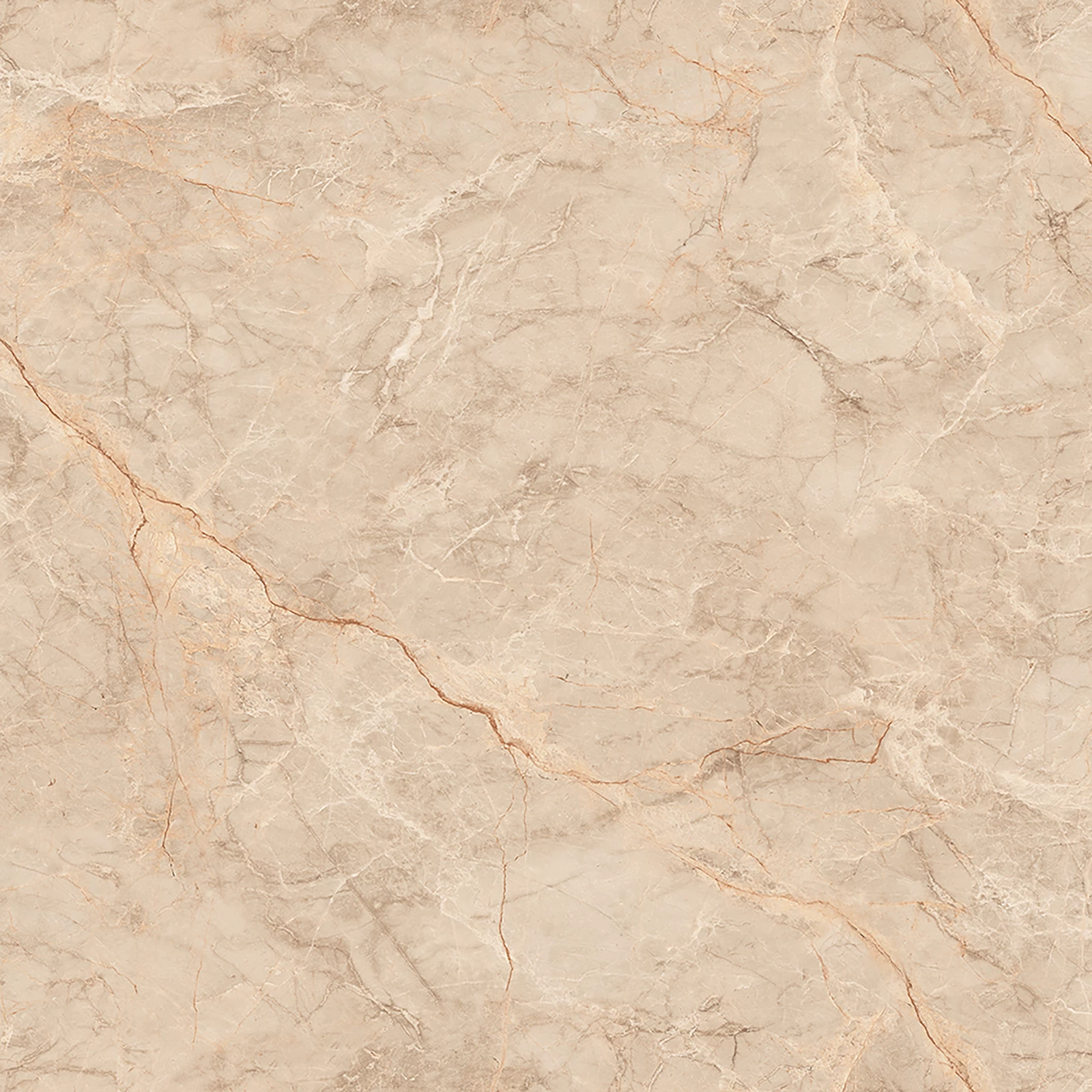 SILVER ROOT BEIGE_F5