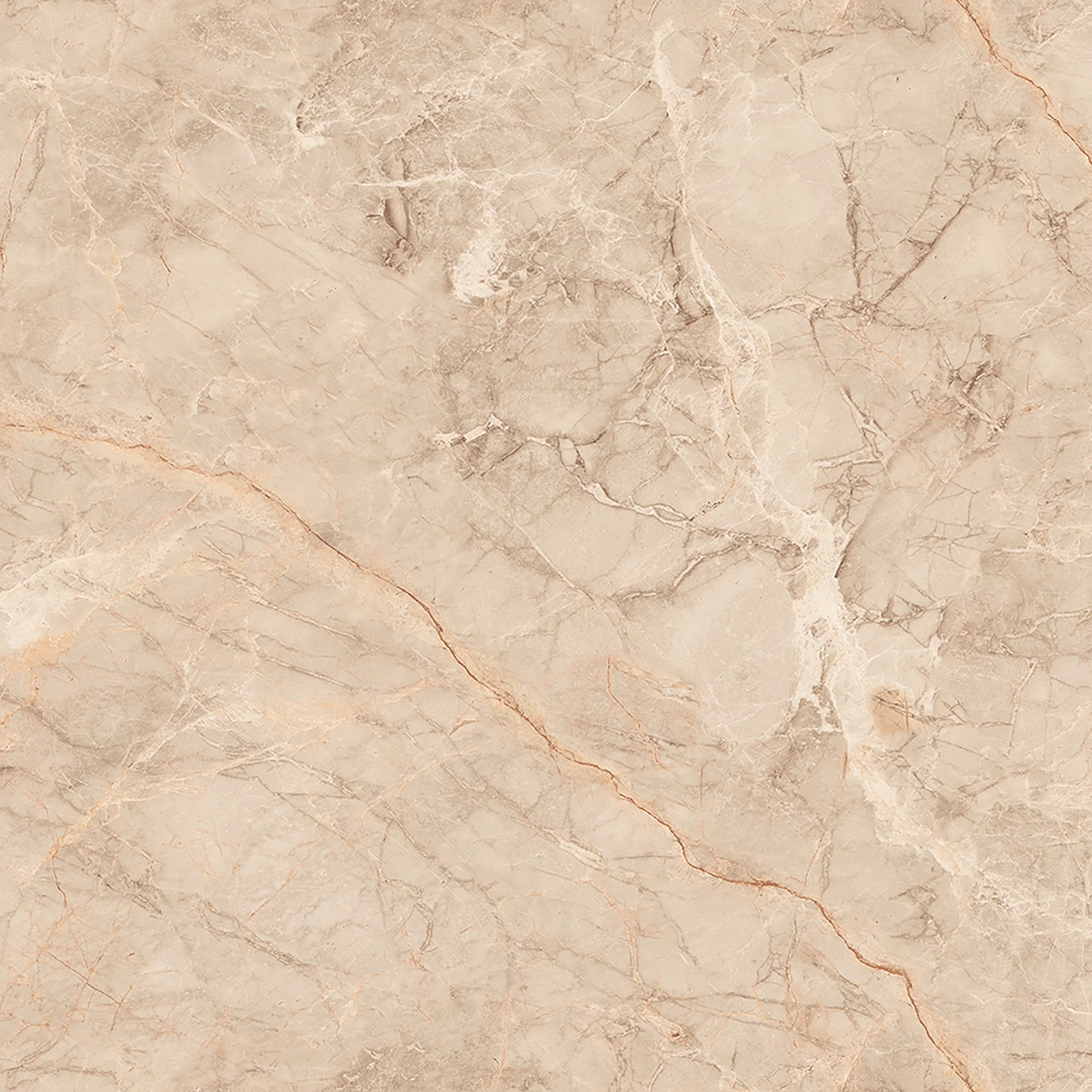 SILVER ROOT BEIGE_F6