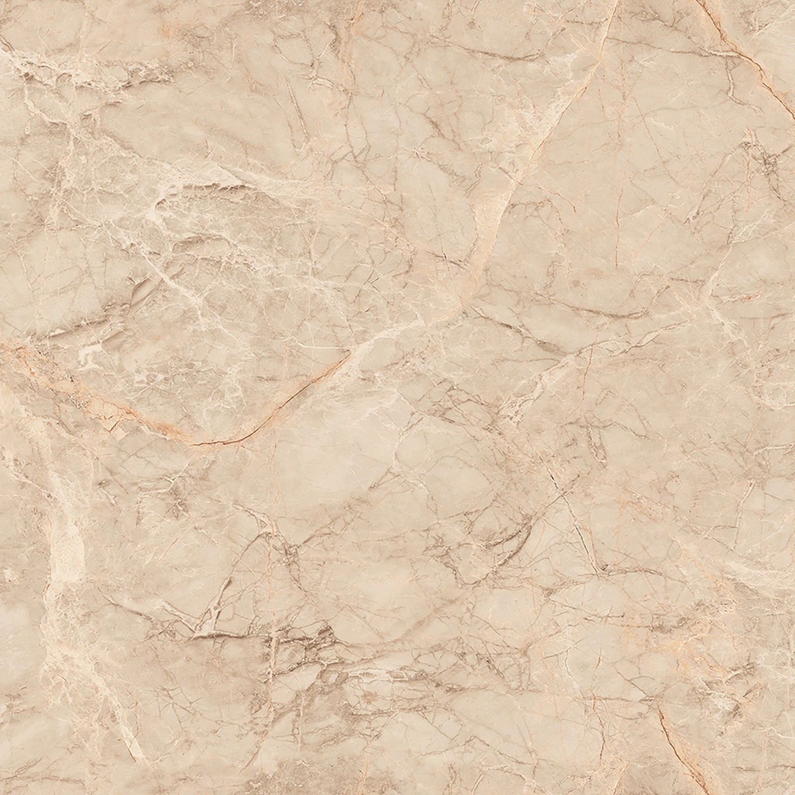 SILVER ROOT BEIGE_F8