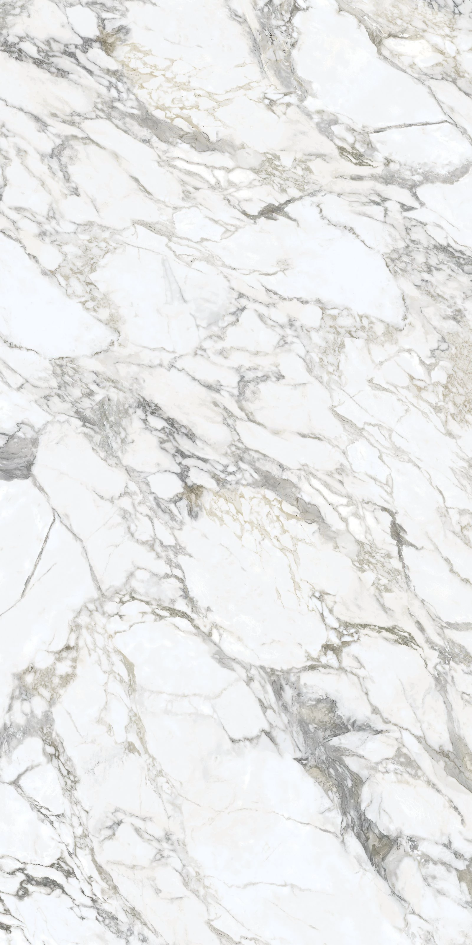 Arabescato Corchia - 2